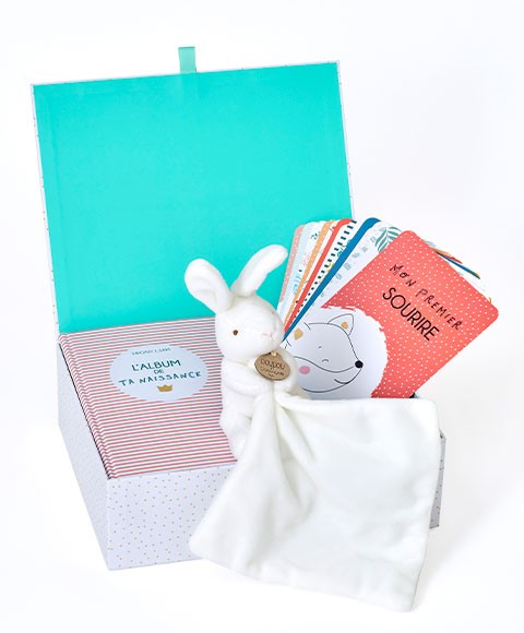 Coffret cadeau naissance bébé doudou lapin et cartes premiers mois-DC4098-3.jpg
